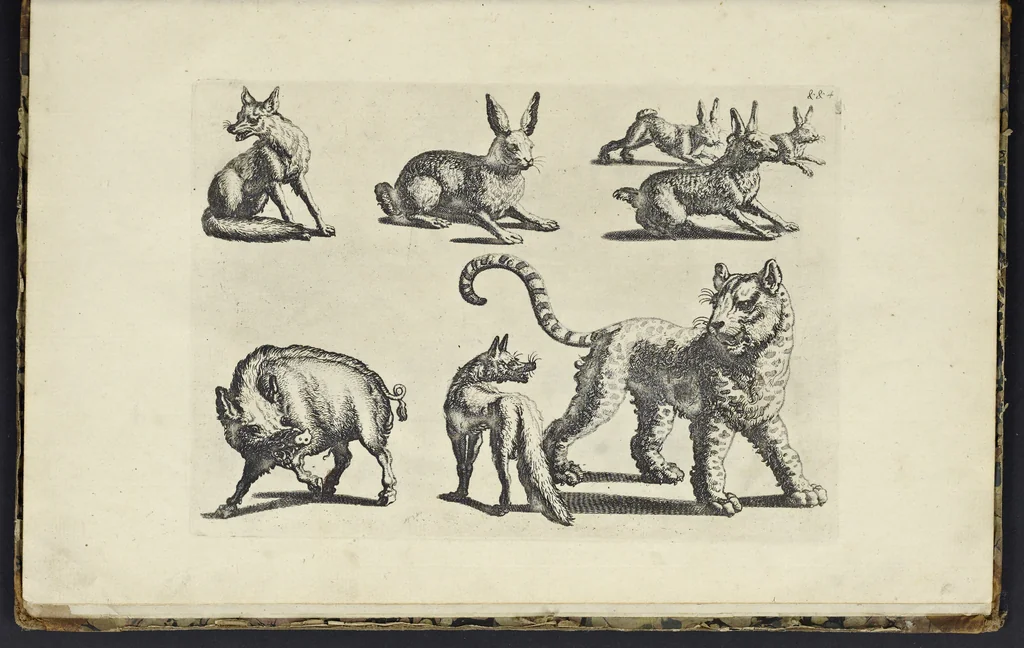 An illustration from The principles of drawing, or, An easy and familiar method for the improvement of youth in the practice of that useful art : being a compleat drawing book, containing a curious collection of examples in all the variety of cases, as the several parts of the human body, whole figures, landskips, cattle, &c. curiously engraved on copper-plates, after the designs of Albert Durer, Abrah. Bloemart, Carlo Morac, Le Clerc, Hollar, and other great masters : to which is prefix'd an introduction to drawing ..., 1764, leaf 108