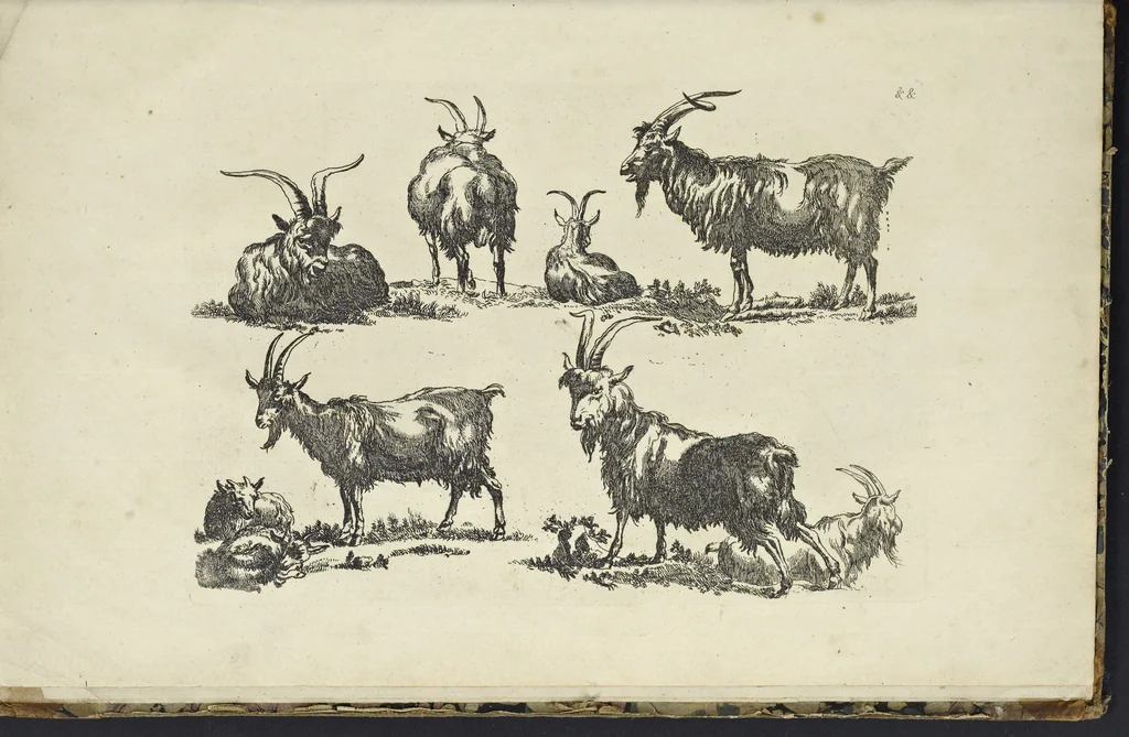 An illustration from The principles of drawing, or, An easy and familiar method for the improvement of youth in the practice of that useful art : being a compleat drawing book, containing a curious collection of examples in all the variety of cases, as the several parts of the human body, whole figures, landskips, cattle, &c. curiously engraved on copper-plates, after the designs of Albert Durer, Abrah. Bloemart, Carlo Morac, Le Clerc, Hollar, and other great masters : to which is prefix'd an introduction to drawing ..., 1764, leaf 110