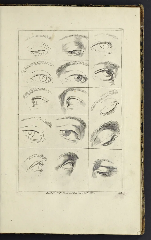 An illustration from The principles of drawing, or, An easy and familiar method for the improvement of youth in the practice of that useful art : being a compleat drawing book, containing a curious collection of examples in all the variety of cases, as the several parts of the human body, whole figures, landskips, cattle, &c. curiously engraved on copper-plates, after the designs of Albert Durer, Abrah. Bloemart, Carlo Morac, Le Clerc, Hollar, and other great masters : to which is prefix'd an introduction to drawing ..., 1764, leaf 18