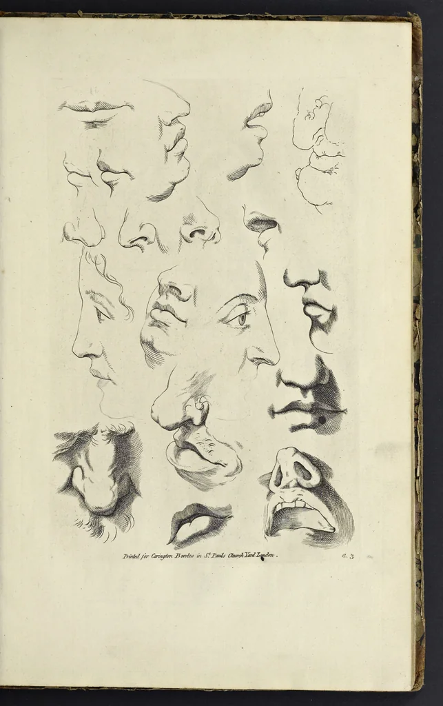 An illustration from The principles of drawing, or, An easy and familiar method for the improvement of youth in the practice of that useful art : being a compleat drawing book, containing a curious collection of examples in all the variety of cases, as the several parts of the human body, whole figures, landskips, cattle, &c. curiously engraved on copper-plates, after the designs of Albert Durer, Abrah. Bloemart, Carlo Morac, Le Clerc, Hollar, and other great masters : to which is prefix'd an introduction to drawing ..., 1764, leaf 20