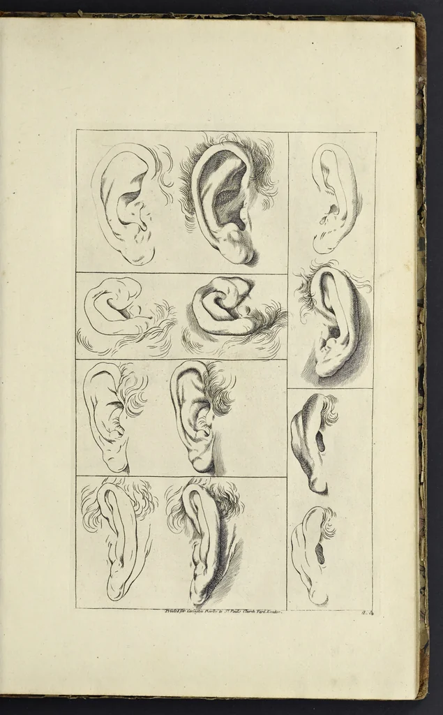 An illustration from The principles of drawing, or, An easy and familiar method for the improvement of youth in the practice of that useful art : being a compleat drawing book, containing a curious collection of examples in all the variety of cases, as the several parts of the human body, whole figures, landskips, cattle, &c. curiously engraved on copper-plates, after the designs of Albert Durer, Abrah. Bloemart, Carlo Morac, Le Clerc, Hollar, and other great masters : to which is prefix'd an introduction to drawing ..., 1764, leaf 22
