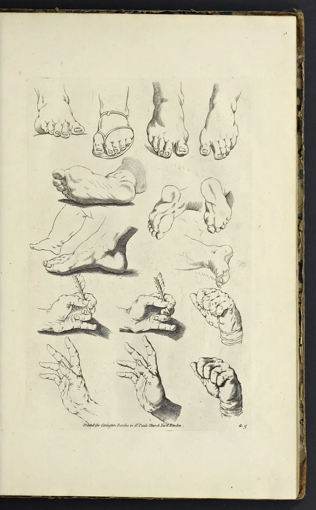 An illustration from The principles of drawing, or, An easy and familiar method for the improvement of youth in the practice of that useful art : being a compleat drawing book, containing a curious collection of examples in all the variety of cases, as the several parts of the human body, whole figures, landskips, cattle, &c. curiously engraved on copper-plates, after the designs of Albert Durer, Abrah. Bloemart, Carlo Morac, Le Clerc, Hollar, and other great masters : to which is prefix'd an introduction to drawing ..., 1764, leaf 24