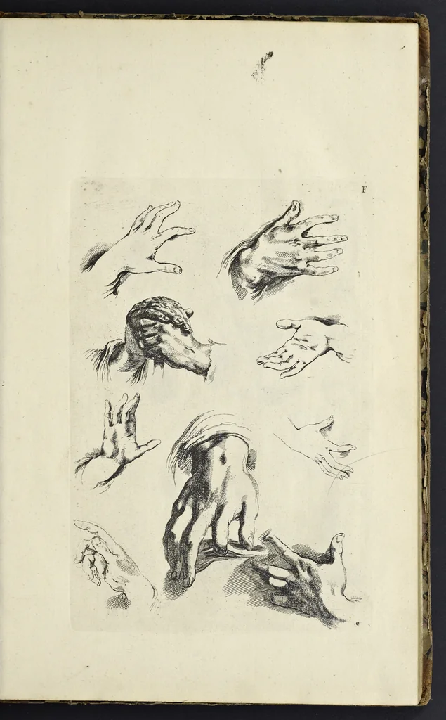 An illustration from The principles of drawing, or, An easy and familiar method for the improvement of youth in the practice of that useful art : being a compleat drawing book, containing a curious collection of examples in all the variety of cases, as the several parts of the human body, whole figures, landskips, cattle, &c. curiously engraved on copper-plates, after the designs of Albert Durer, Abrah. Bloemart, Carlo Morac, Le Clerc, Hollar, and other great masters : to which is prefix'd an introduction to drawing ..., 1764, leaf 26