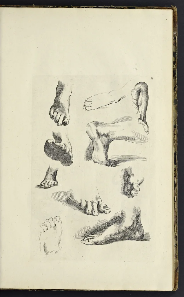 An illustration from The principles of drawing, or, An easy and familiar method for the improvement of youth in the practice of that useful art : being a compleat drawing book, containing a curious collection of examples in all the variety of cases, as the several parts of the human body, whole figures, landskips, cattle, &c. curiously engraved on copper-plates, after the designs of Albert Durer, Abrah. Bloemart, Carlo Morac, Le Clerc, Hollar, and other great masters : to which is prefix'd an introduction to drawing ..., 1764, leaf 28