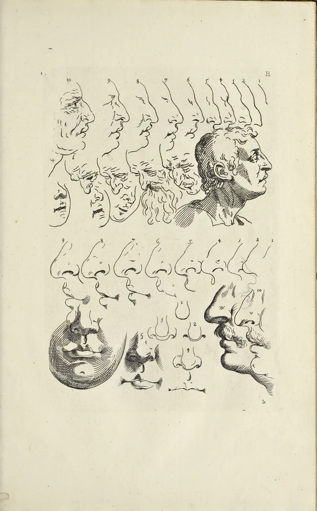 An illustration from The principles of drawing, or, An easy and familiar method for the improvement of youth in the practice of that useful art : being a compleat drawing book, containing a curious collection of examples in all the variety of cases, as the several parts of the human body, whole figures, landskips, cattle, &c. curiously engraved on copper-plates, after the designs of Albert Durer, Abrah. Bloemart, Carlo Morac, Le Clerc, Hollar, and other great masters : to which is prefix'd an introduction to drawing ..., 1764, leaf 30