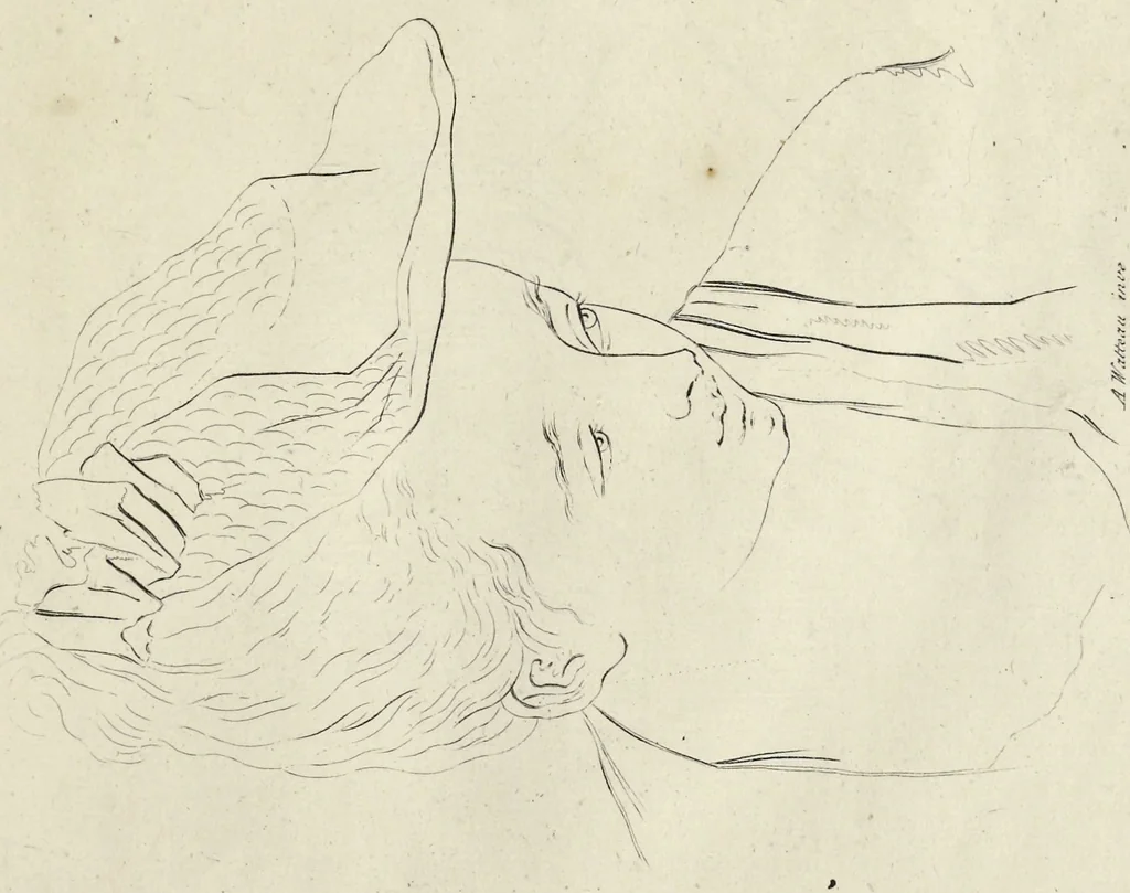 An illustration from The principles of drawing, or, An easy and familiar method for the improvement of youth in the practice of that useful art : being a compleat drawing book, containing a curious collection of examples in all the variety of cases, as the several parts of the human body, whole figures, landskips, cattle, &c. curiously engraved on copper-plates, after the designs of Albert Durer, Abrah. Bloemart, Carlo Morac, Le Clerc, Hollar, and other great masters : to which is prefix'd an introduction to drawing ..., 1764, leaf 36