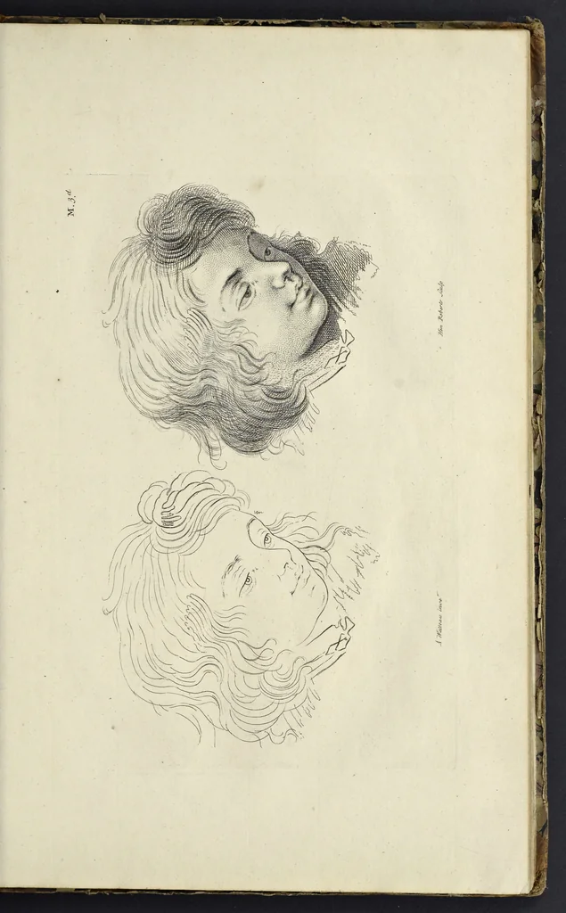 An illustration from The principles of drawing, or, An easy and familiar method for the improvement of youth in the practice of that useful art : being a compleat drawing book, containing a curious collection of examples in all the variety of cases, as the several parts of the human body, whole figures, landskips, cattle, &c. curiously engraved on copper-plates, after the designs of Albert Durer, Abrah. Bloemart, Carlo Morac, Le Clerc, Hollar, and other great masters : to which is prefix'd an introduction to drawing ..., 1764, leaf 42