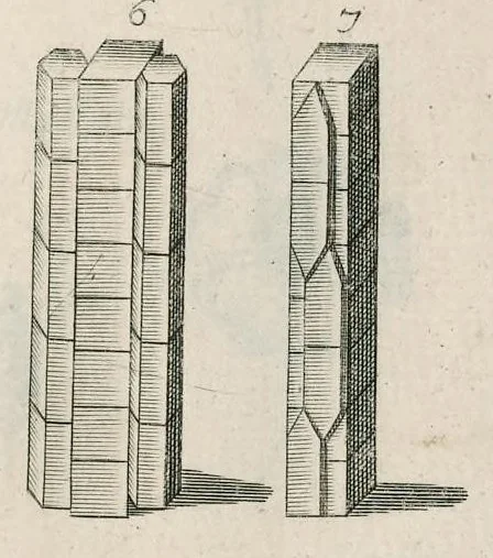 An illustration from The anatomy of plants : with, An idea of a philosophical history of plants, and several other lectures, 1682, leaf 494