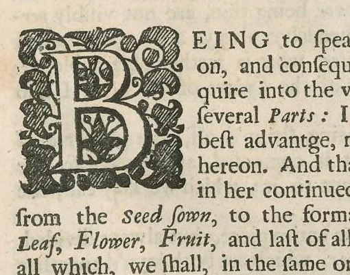 An illustration from The anatomy of plants : with, An idea of a philosophical history of plants, and several other lectures, 1682, leaf 62