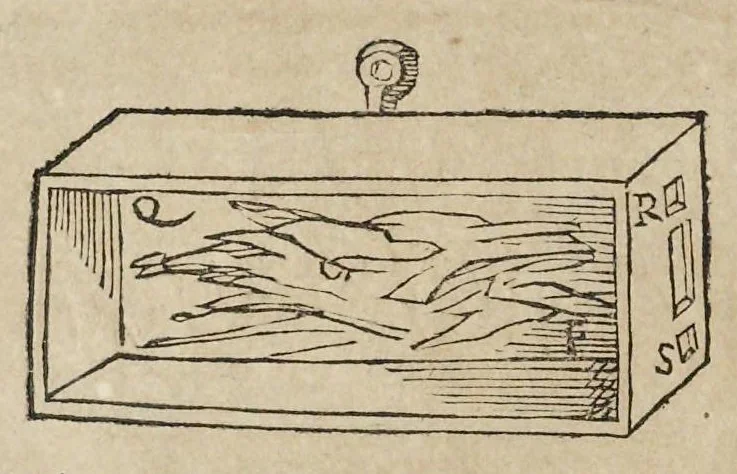 An illustration from Le due regole della prospettiua prattica, 1682, leaf 111