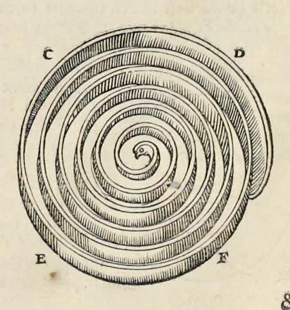 An illustration from Les dix livres d'architecture de Vitruve : corrigez et traduits nouvellement en françois, avec des notes & des figures, 1684, leaf 319