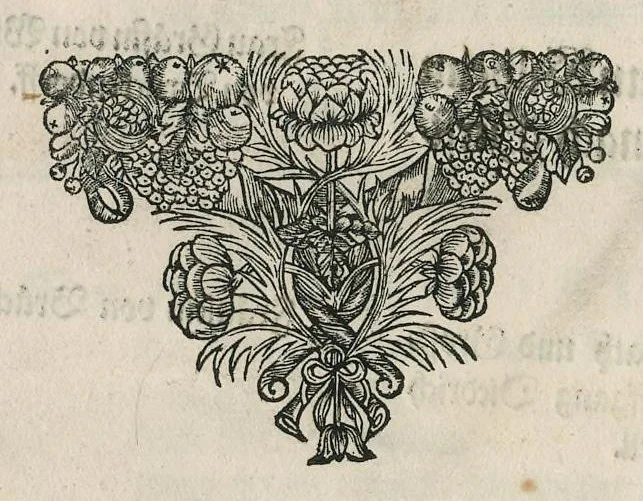An illustration from Die uber alle Tugende triumphirende Tugend der Beständigkeit : wie dieselbe bey Anwesenheit verschiedener hoch-fürstlich, fürstlich- und gräflicher Personen den __ Februarii, 1684, auf dem ChurPfältzischen Residentz-Schlosz zu Heydelberg vorgestellet und praesentiret worden, 1684, leaf 133