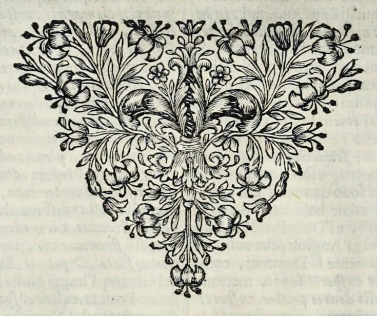 An illustration from Simboli festiui : per le solennità principali di Christo nostro signore, della Beata Vergine Maria, degl'apostoli, e d'altri santi, che frà l'anno da chiesa santa di suo precetto si celebrano, 1698, leaf 101