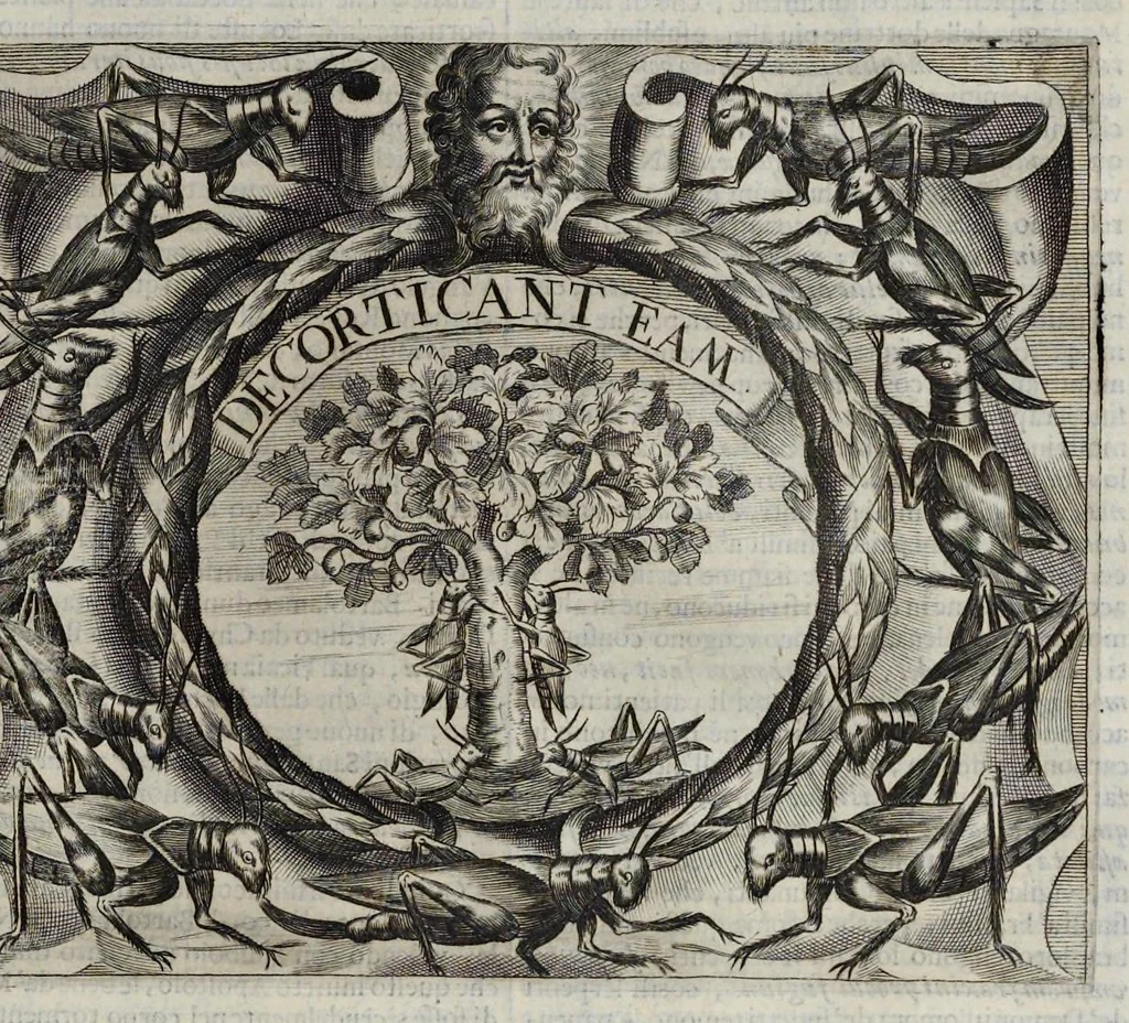 An illustration from Simboli festiui : per le solennità principali di Christo nostro signore, della Beata Vergine Maria, degl'apostoli, e d'altri santi, che frà l'anno da chiesa santa di suo precetto si celebrano, 1698, leaf 306