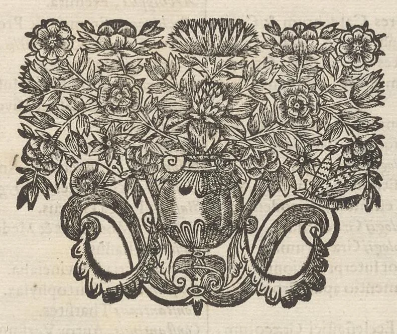 An illustration from Catalogus, sive, Recensio specialis omnium codicum manuscriptorum Graecorum, nec non linguarum orientalium, augustissimae Bibliothecae Caesareae Vindobonensis, 1690, leaf 1096