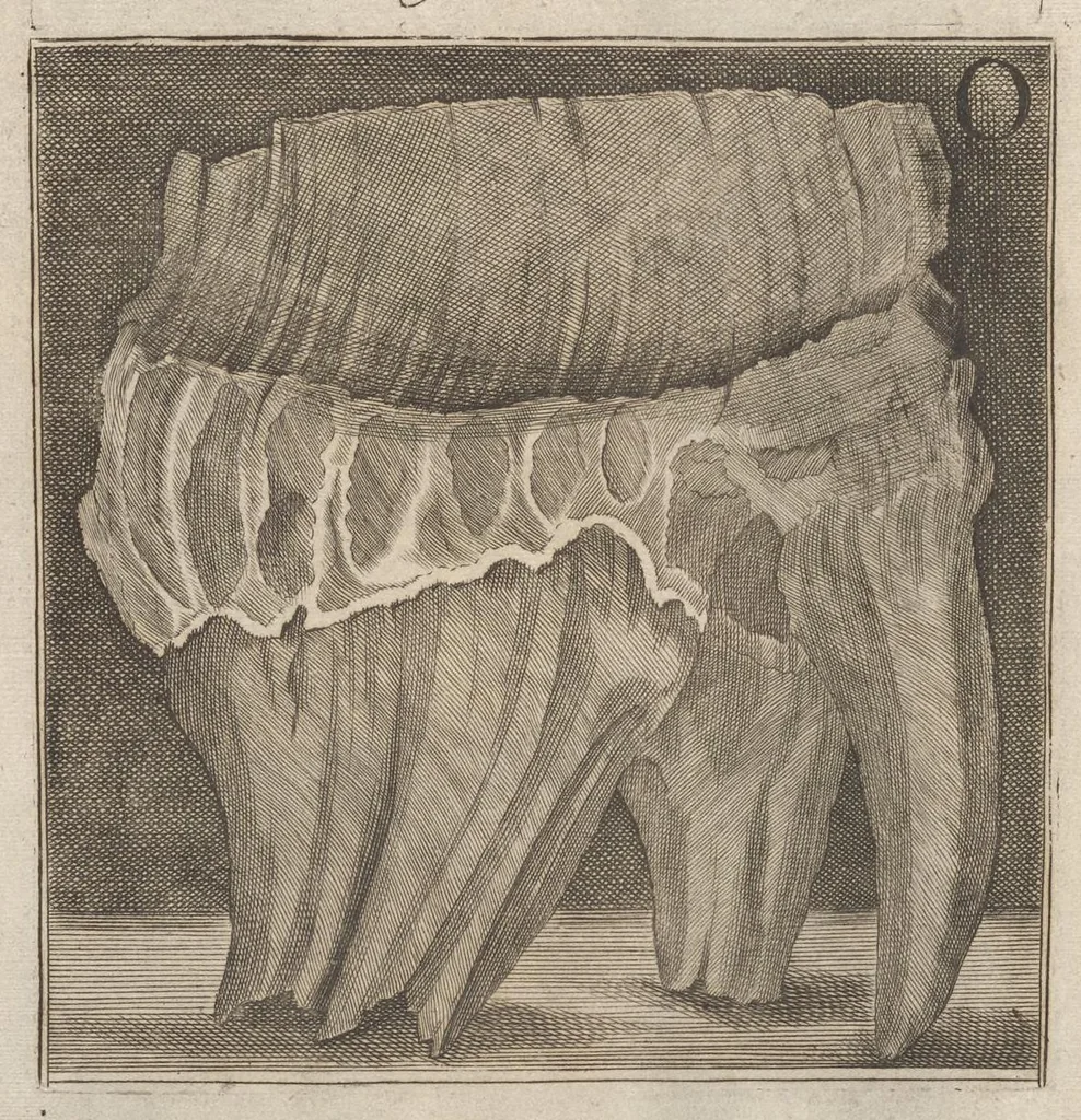An illustration from Catalogus, sive, Recensio specialis omnium codicum manuscriptorum Graecorum, nec non linguarum orientalium, augustissimae Bibliothecae Caesareae Vindobonensis, 1690, leaf 1146