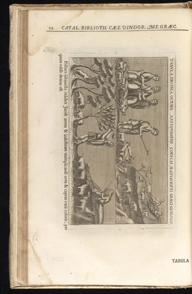 An illustration from Catalogus, sive, Recensio specialis omnium codicum manuscriptorum Graecorum, nec non linguarum orientalium, augustissimae Bibliothecae Caesareae Vindobonensis, 1690, leaf 95