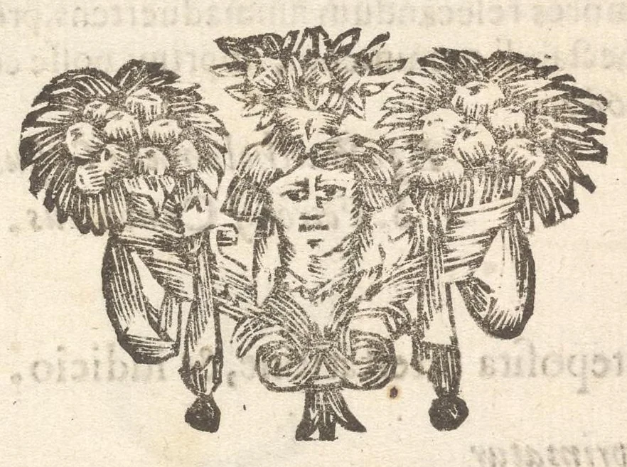 An illustration from Arbor genealogica gentis de Cignano, quam merito ac virtuti D. Caroli per lineam rectam eodem ex stipite descendentis, 1687, leaf 10