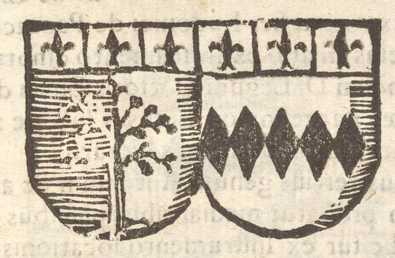 An illustration from Arbor genealogica gentis de Cignano, quam merito ac virtuti D. Caroli per lineam rectam eodem ex stipite descendentis, 1687, leaf 26