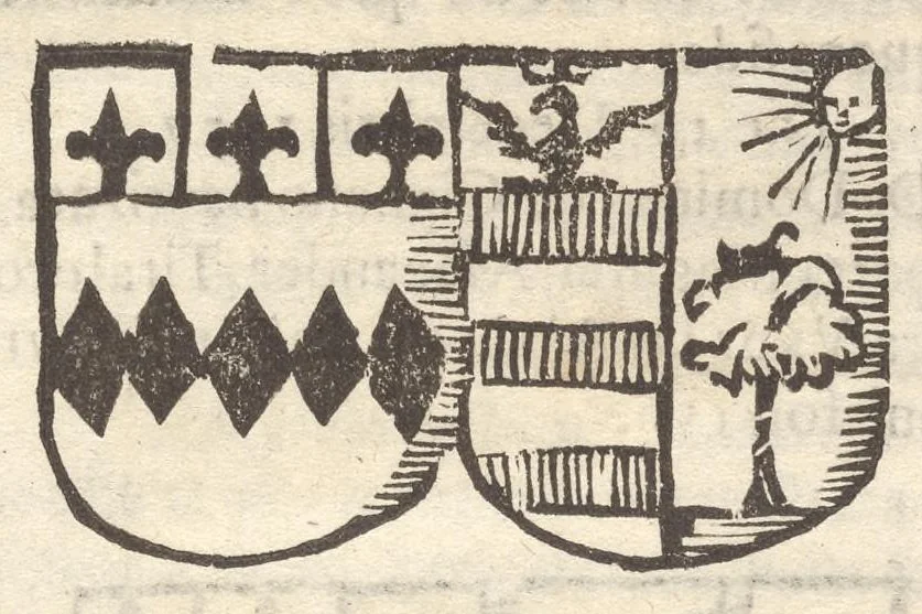 An illustration from Arbor genealogica gentis de Cignano, quam merito ac virtuti D. Caroli per lineam rectam eodem ex stipite descendentis, 1687, leaf 48