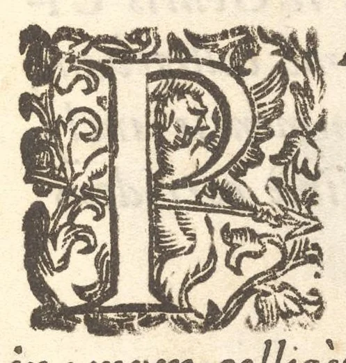 An illustration from Arbor genealogica gentis de Cignano, quam merito ac virtuti D. Caroli per lineam rectam eodem ex stipite descendentis, 1687, leaf 8
