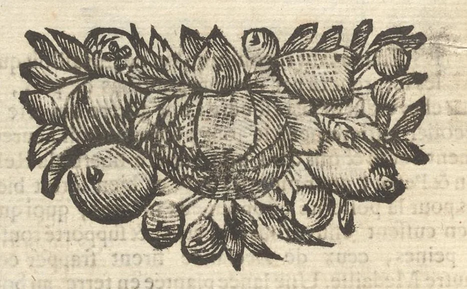 An illustration from Histoire metallique de la Republique de Hollande, 1688, leaf 113