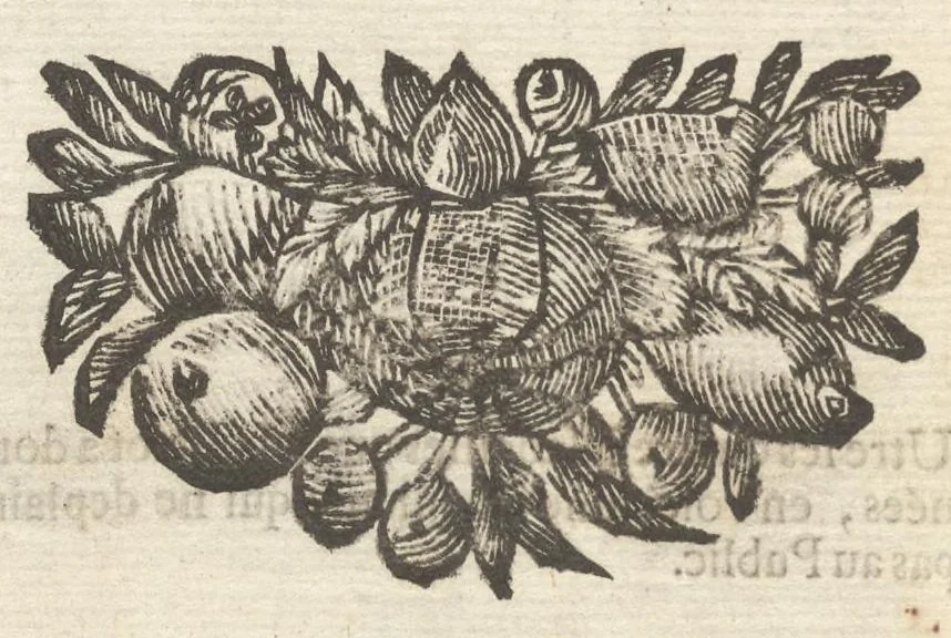 An illustration from Histoire metallique de la Republique de Hollande, 1688, leaf 537