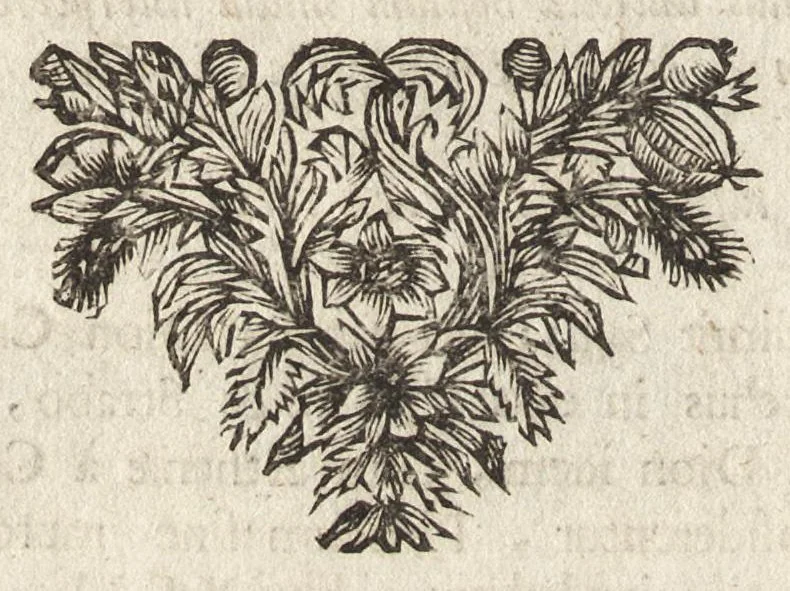 An illustration from Joannis MeursI De regno Laconico, libri II ; De Piraeeo, liber singularis ; et In Helladii Chrestomathiam animadversiones, 1687, leaf 143