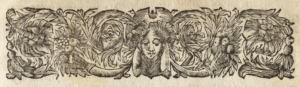 An illustration from Joannis MeursI De regno Laconico, libri II ; De Piraeeo, liber singularis ; et In Helladii Chrestomathiam animadversiones, 1687, leaf 192