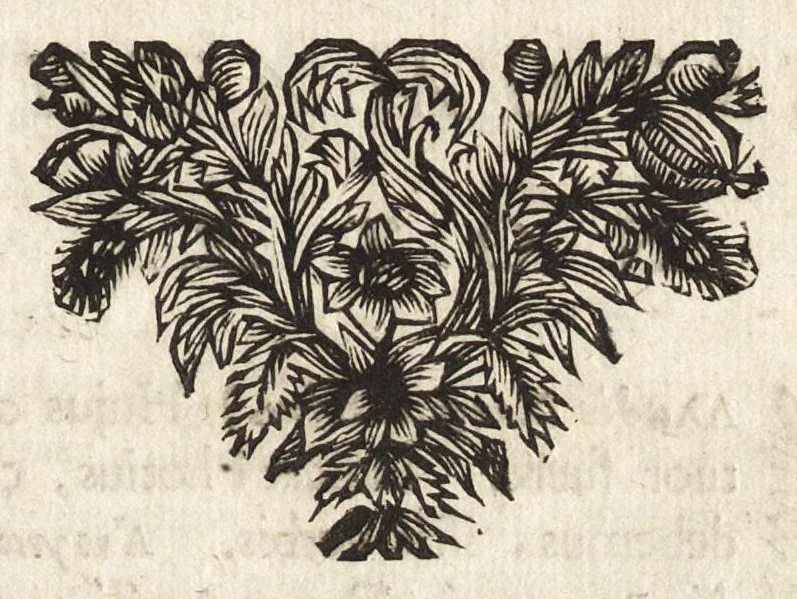 An illustration from Joannis MeursI De regno Laconico, libri II ; De Piraeeo, liber singularis ; et In Helladii Chrestomathiam animadversiones, 1687, leaf 216