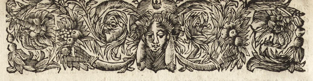 An illustration from Joannis MeursI De regno Laconico, libri II ; De Piraeeo, liber singularis ; et In Helladii Chrestomathiam animadversiones, 1687, leaf 217