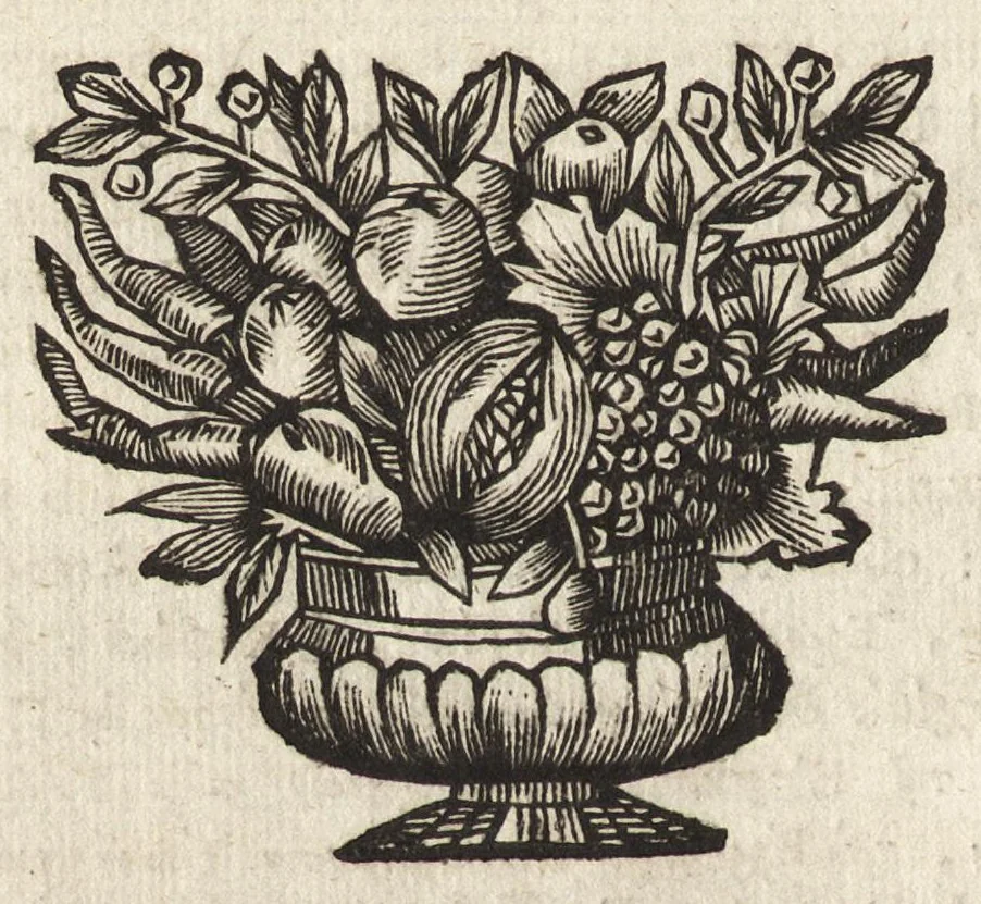 An illustration from Joannis MeursI De regno Laconico, libri II ; De Piraeeo, liber singularis ; et In Helladii Chrestomathiam animadversiones, 1687, leaf 49