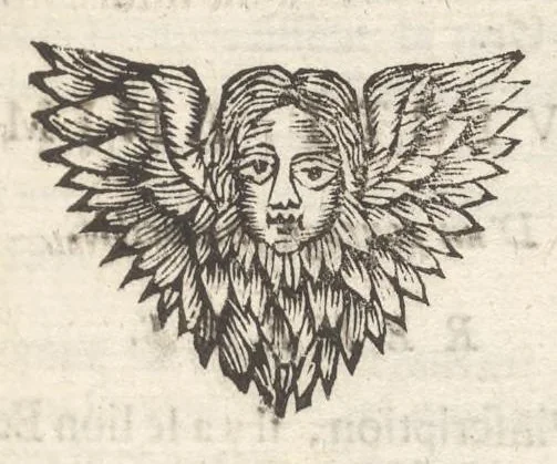 An illustration from Histoire metallique de la Republique de Hollande, 1688, leaf 166