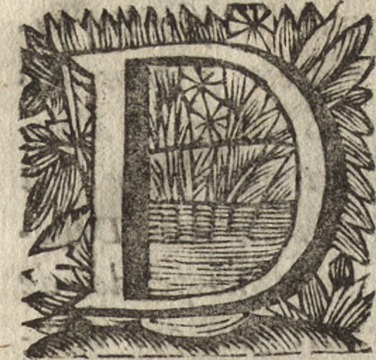 An illustration from Leven en bedryf van den vermaarden zeeheld Cornelis Tromp, graaf van Sylliesburg, ridder van den Olifant, baronnet, &c., lieutenant admiraal generaal van Holland en Westvriesland : ondermengd met de voornaamste daaden van verscheidene andere zeehoofden, en voornaamentlijk met die van Martin Harpertsz. Tromp : benevens een naauwkeurig verhaal van der Nederlanderen en hunner bondgenooten oorlogen, sedert den jaare 1650 tegens verscheidene volkeren gevoerd : voorzien met alle de noodige authentyke stukken en bewyzen, en vercierd met schoone kopere figuuren, 1692, leaf 10