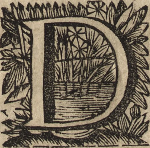 An illustration from Leven en bedryf van den vermaarden zeeheld Cornelis Tromp, graaf van Sylliesburg, ridder van den Olifant, baronnet, &c., lieutenant admiraal generaal van Holland en Westvriesland : ondermengd met de voornaamste daaden van verscheidene andere zeehoofden, en voornaamentlijk met die van Martin Harpertsz. Tromp : benevens een naauwkeurig verhaal van der Nederlanderen en hunner bondgenooten oorlogen, sedert den jaare 1650 tegens verscheidene volkeren gevoerd : voorzien met alle de noodige authentyke stukken en bewyzen, en vercierd met schoone kopere figuuren, 1692, leaf 14