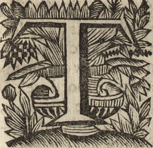 An illustration from Leven en bedryf van den vermaarden zeeheld Cornelis Tromp, graaf van Sylliesburg, ridder van den Olifant, baronnet, &c., lieutenant admiraal generaal van Holland en Westvriesland : ondermengd met de voornaamste daaden van verscheidene andere zeehoofden, en voornaamentlijk met die van Martin Harpertsz. Tromp : benevens een naauwkeurig verhaal van der Nederlanderen en hunner bondgenooten oorlogen, sedert den jaare 1650 tegens verscheidene volkeren gevoerd : voorzien met alle de noodige authentyke stukken en bewyzen, en vercierd met schoone kopere figuuren, 1692, leaf 176