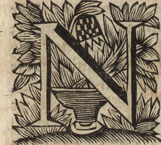 An illustration from Leven en bedryf van den vermaarden zeeheld Cornelis Tromp, graaf van Sylliesburg, ridder van den Olifant, baronnet, &c., lieutenant admiraal generaal van Holland en Westvriesland : ondermengd met de voornaamste daaden van verscheidene andere zeehoofden, en voornaamentlijk met die van Martin Harpertsz. Tromp : benevens een naauwkeurig verhaal van der Nederlanderen en hunner bondgenooten oorlogen, sedert den jaare 1650 tegens verscheidene volkeren gevoerd : voorzien met alle de noodige authentyke stukken en bewyzen, en vercierd met schoone kopere figuuren, 1692, leaf 418