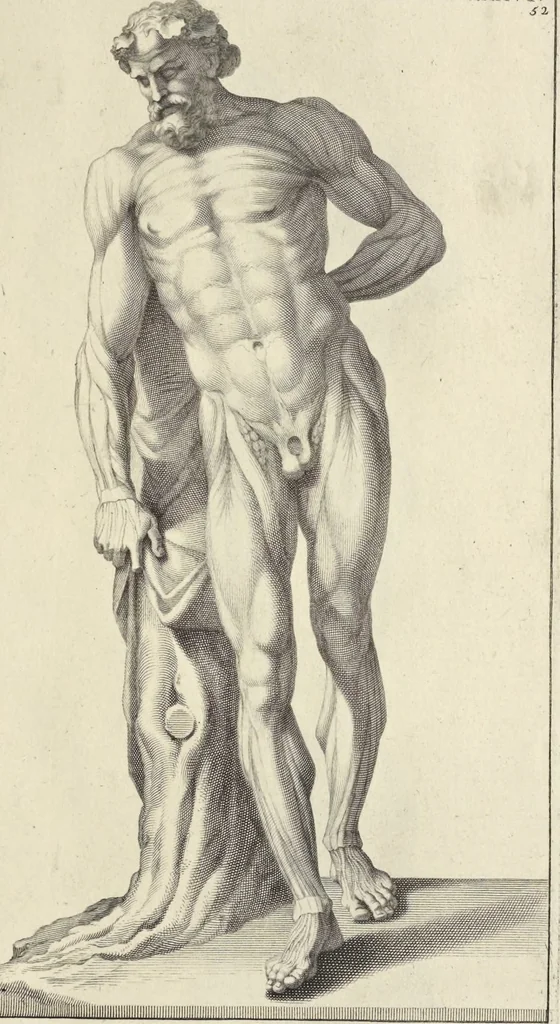 An illustration from Anatomia per uso et intelligenza del disegno : ricercata non solo su gl'ossi e muscoli del corpo humano, ma dimostrata ancora su le statue antiche più insigni di Roma, delineata in piu tauole con tutte le figure in varie faccie e vedute per istudio della Regia academia di Francia pittura e scultura, 1691, leaf 106