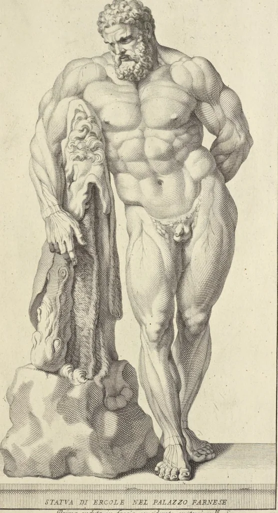 An illustration from Anatomia per uso et intelligenza del disegno : ricercata non solo su gl'ossi e muscoli del corpo humano, ma dimostrata ancora su le statue antiche più insigni di Roma, delineata in piu tauole con tutte le figure in varie faccie e vedute per istudio della Regia academia di Francia pittura e scultura, 1691, leaf 82