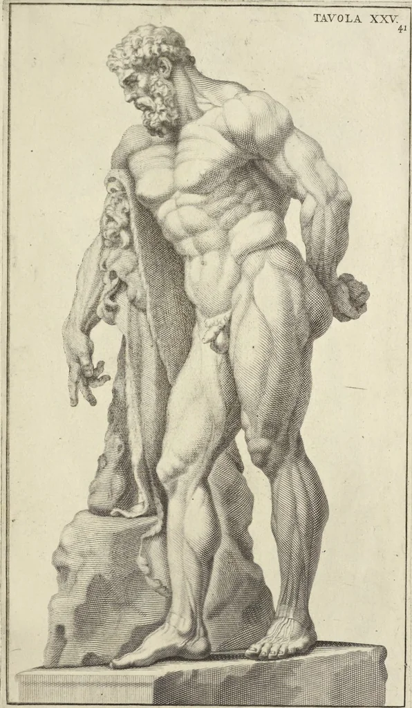 An illustration from Anatomia per uso et intelligenza del disegno : ricercata non solo su gl'ossi e muscoli del corpo humano, ma dimostrata ancora su le statue antiche più insigni di Roma, delineata in piu tauole con tutte le figure in varie faccie e vedute per istudio della Regia academia di Francia pittura e scultura, 1691, leaf 84