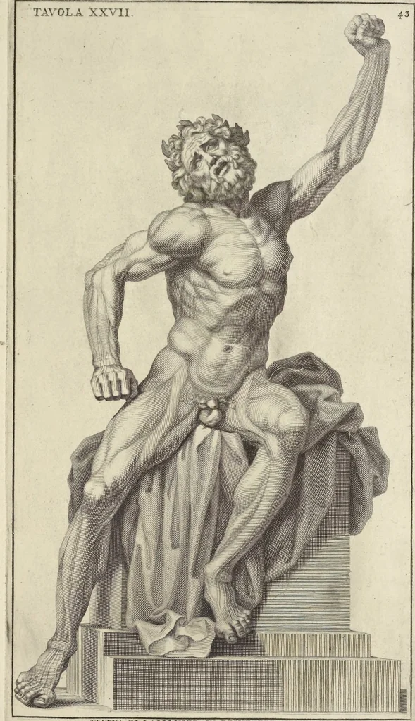 An illustration from Anatomia per uso et intelligenza del disegno : ricercata non solo su gl'ossi e muscoli del corpo humano, ma dimostrata ancora su le statue antiche più insigni di Roma, delineata in piu tauole con tutte le figure in varie faccie e vedute per istudio della Regia academia di Francia pittura e scultura, 1691, leaf 88