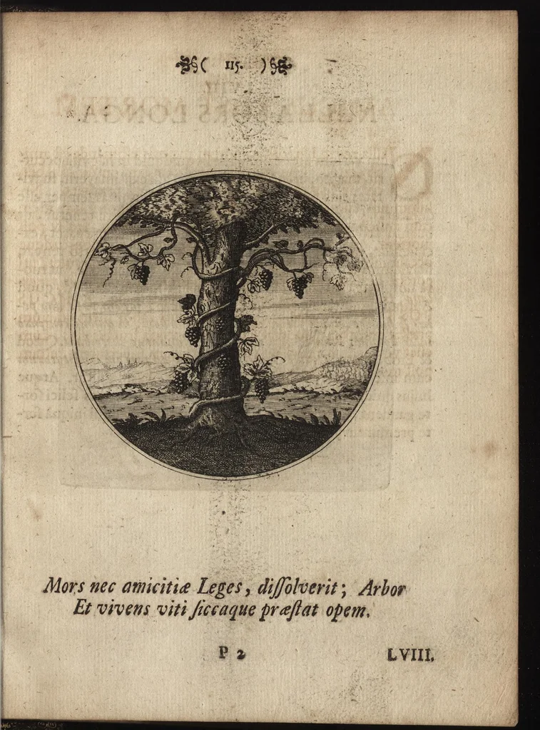 An illustration from Emblemata moralia, 1697, leaf 124