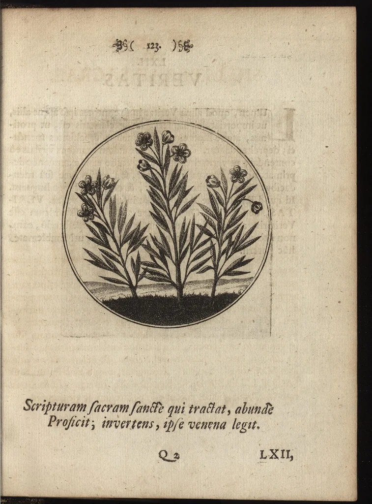 An illustration from Emblemata moralia, 1697, leaf 132