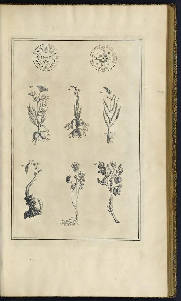 An illustration from Superstitions anciennes et modernes : prejugés vulgaires qui ont induit les peuples à des usages et à des pratiques contraires à la religion, 1733, leaf 132