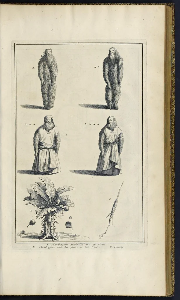 An illustration from Superstitions anciennes et modernes : prejugés vulgaires qui ont induit les peuples à des usages et à des pratiques contraires à la religion, 1733, leaf 136