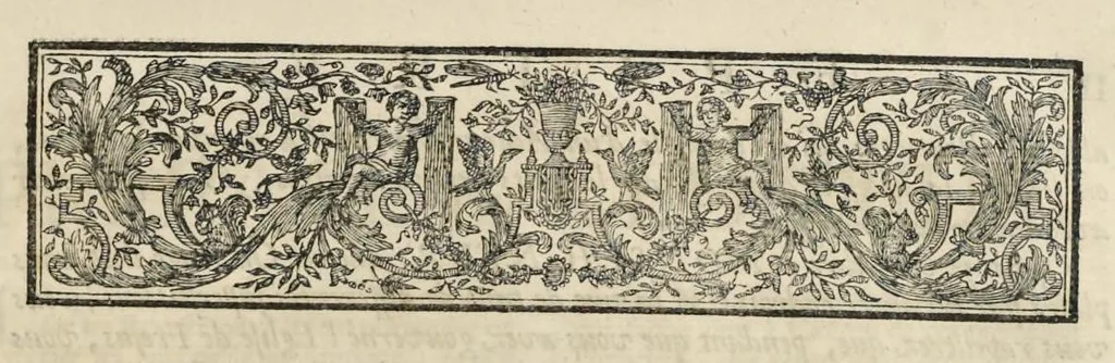 An illustration from Superstitions anciennes et modernes : prejugés vulgaires qui ont induit les peuples à des usages et à des pratiques contraires à la religion, 1733, leaf 148