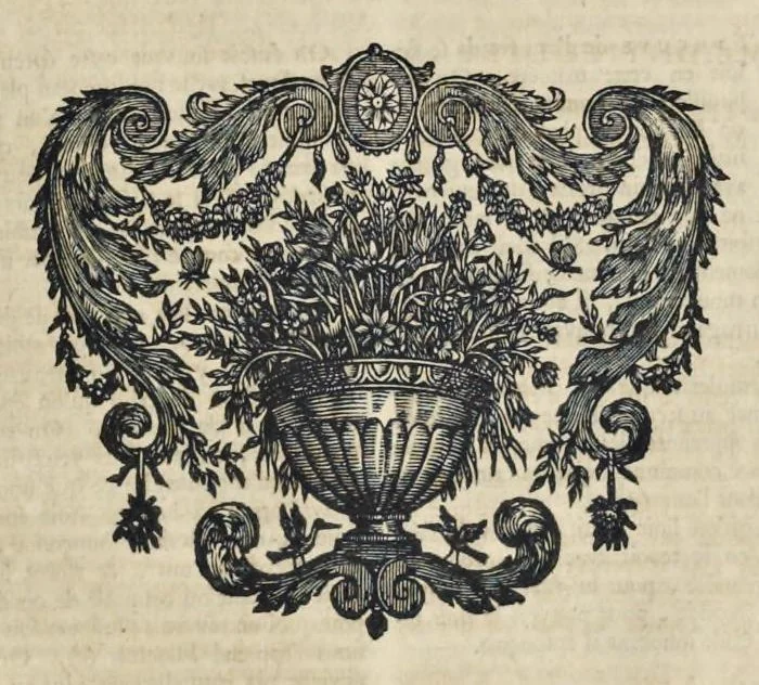 An illustration from Superstitions anciennes et modernes : prejugés vulgaires qui ont induit les peuples à des usages et à des pratiques contraires à la religion, 1733, leaf 264