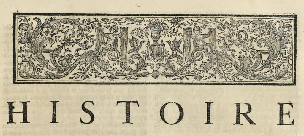 An illustration from Superstitions anciennes et modernes : prejugés vulgaires qui ont induit les peuples à des usages et à des pratiques contraires à la religion, 1733, leaf 314