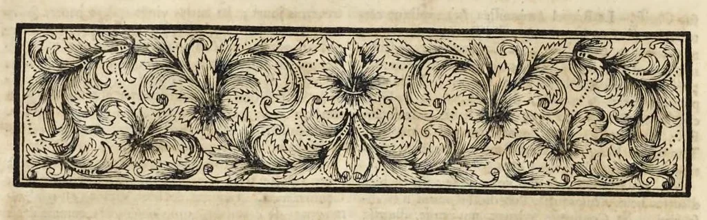 An illustration from Superstitions anciennes et modernes : prejugés vulgaires qui ont induit les peuples à des usages et à des pratiques contraires à la religion, 1733, leaf 193