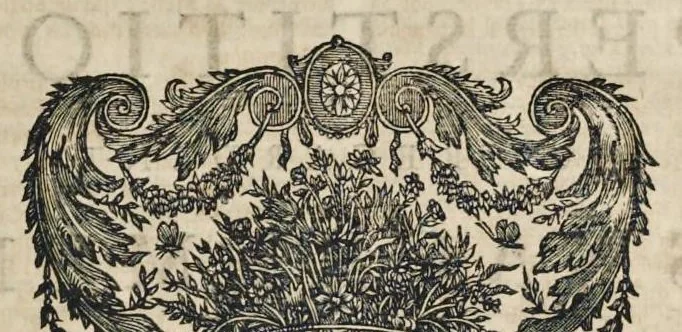 An illustration from Superstitions anciennes et modernes : prejugés vulgaires qui ont induit les peuples à des usages et à des pratiques contraires à la religion, 1733, leaf 310